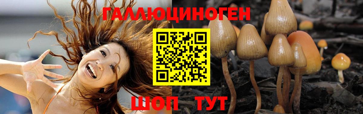 Галлюциногенные грибы Cubensis  Вход с VPN  Псилоцибиновые грибы мицелий  Рассказово 
